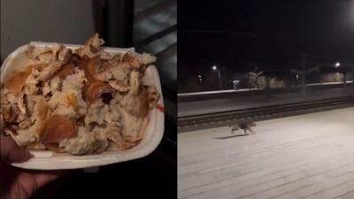 Plate of food held by an individual (left) and stray dog running beside the train on the platform (right). (X/@1hakankapucu) Plate of food held by an individual (left) and stray dog running beside the train on the platform (right). (X/@1hakankapucu)