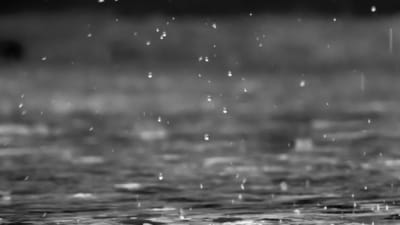 Bengalureans turned to the social media platform 'X' to exchange updates on the local rainfall situation. Bengalureans turned to the social media platform 'X' to exchange updates on the local rainfall situation.