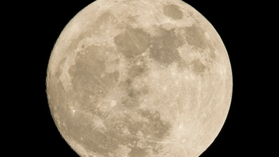 New Moon in Taurus during May 2024. (Unsplash) New Moon in Taurus during May 2024. (Unsplash)