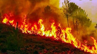 As per reports, forest fires have become an annual feature in Uttarakhand and the change in weather conditions has resulted in soaring temperatures. (HT File) As per reports, forest fires have become an annual feature in Uttarakhand and the change in weather conditions has resulted in soaring temperatures. (HT File)