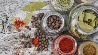 Panchakarma: Decoction enema with strong herbs that are hot in nature is given to help balance Vata and check fat tissue conversion into bone tissue. (Pixabay) Panchakarma: Decoction enema with strong herbs that are hot in nature is given to help balance Vata and check fat tissue conversion into bone tissue. (Pixabay)