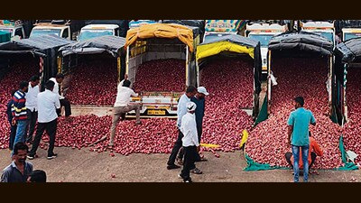 Along with that, the Centre also put a 40 per cent additional duty on export prices, according to a notification issued by the Directorate General of Foreign Trade (DGFT). (HT PHOTO) Along with that, the Centre also put a 40 per cent additional duty on export prices, according to a notification issued by the Directorate General of Foreign Trade (DGFT). (HT PHOTO)
