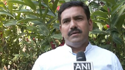 Did not get any letter on allegations against Prajwal Revanna: Vijayendra (ANI) Did not get any letter on allegations against Prajwal Revanna: Vijayendra (ANI)