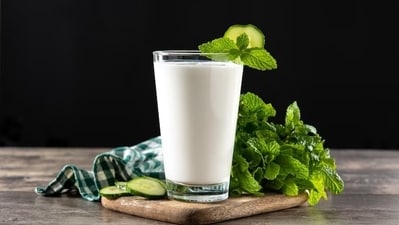 Buttermilk: Buttermilk, fermented with spices, helps bring changes in fat tissue, lowering obesity. Drink a glass of fresh buttermilk during brunch. (Freepik) Buttermilk: Buttermilk, fermented with spices, helps bring changes in fat tissue, lowering obesity. Drink a glass of fresh buttermilk during brunch. (Freepik)