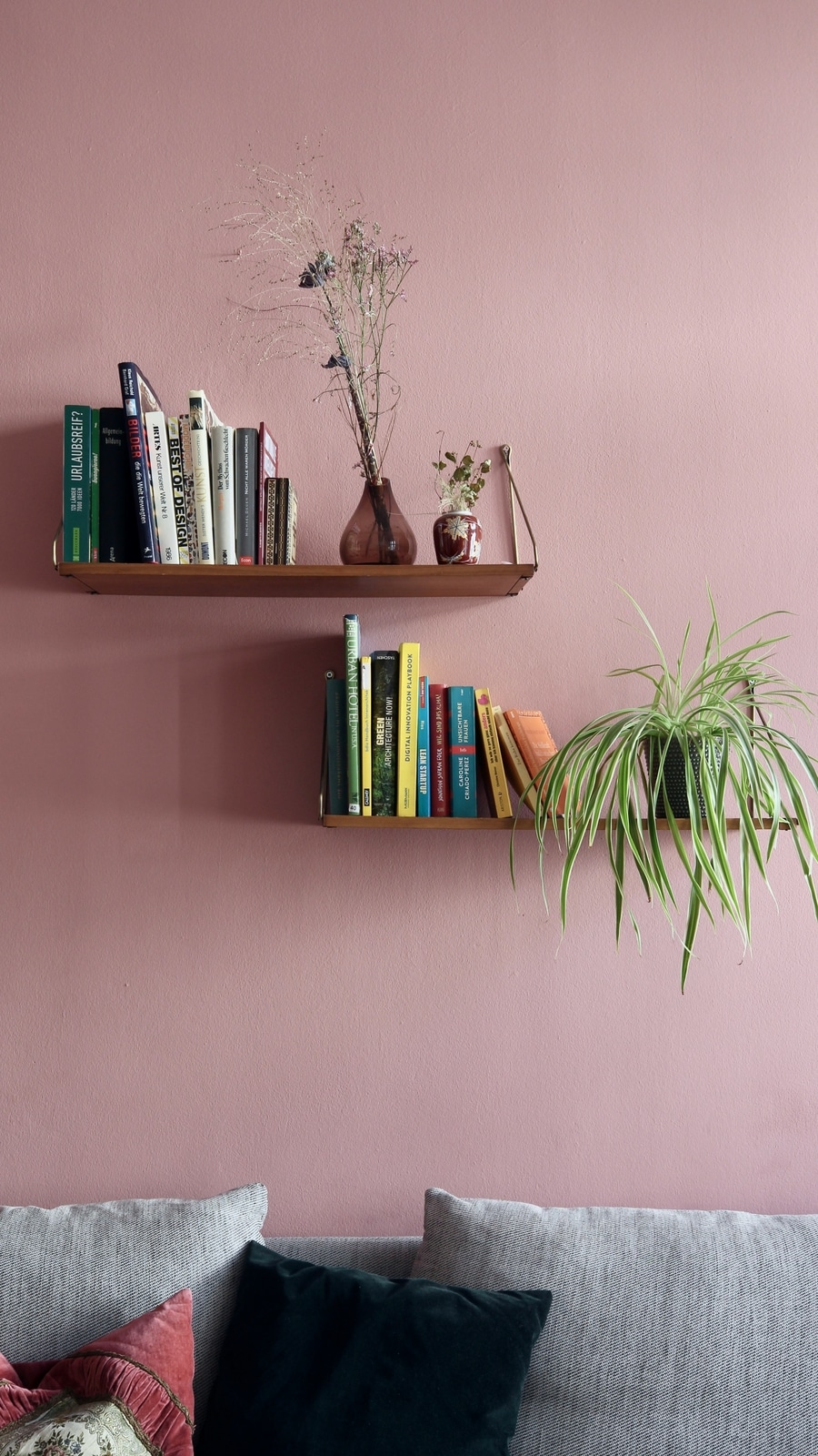 Spider_plant