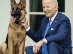 Following the reports that Commander drew blood from a Secret Service agent, the White House in March said that Biden handed over the German shepherd to his relatives due to repeated biting incidents.
