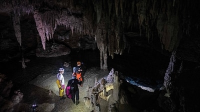 It is the "nightmare" of environmentalists in Mexico: the construction of the Mayan Train, the tourist megaproject of outgoing president Andres Manuel Lopez Obrador, threatens the cenotes, the pre-Hispanic underground wells that abound in the Yucatan Peninsula. (Photo by CARL DE SOUZA / AFP)