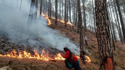 So far, 351 cases have been registered in “man-made” forest fire incidents against 59 named and 290 unidentified suspects. (FILE) So far, 351 cases have been registered in “man-made” forest fire incidents against 59 named and 290 unidentified suspects. (FILE)