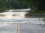 A heron stands as water flows over N. Houston Road, making the road impassible on Sunday, May 5, 2024, in Humble, Texas. (Elizabeth Conley/Houston Chronicle via AP)