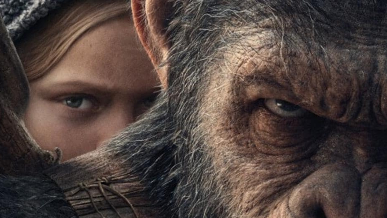 Director Wes Ball says 'it's criminal' that the Planet of the Apes films have never won a VFX Oscar, netizens respond - Vimarsana News