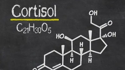 Cortisol, also known as the stress hormone, in little amounts can keep us alert and focused, but more than that can make us feel stressed and negative. (Unsplash) Cortisol, also known as the stress hormone, in little amounts can keep us alert and focused, but more than that can make us feel stressed and negative. (Unsplash)