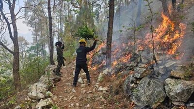On Monday, of the 157 large fires recorded in the country, 125 were in the hill state, data from the Forest Survey of India showed (HT) On Monday, of the 157 large fires recorded in the country, 125 were in the hill state, data from the Forest Survey of India showed (HT)