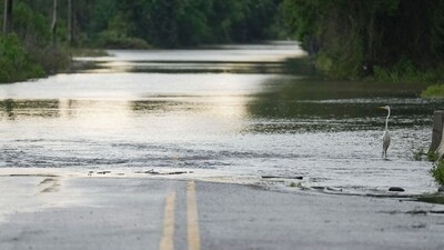 A heron stands as water flows over N. Houston Road, making the road impassible on Sunday, May 5, 2024, in Humble, Texas. (Elizabeth Conley/Houston Chronicle via AP) (AP)
