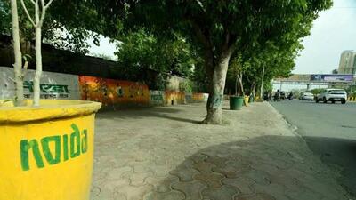 The petitioner, Vikrant Tongad, had alleged that concretisation activities of pavements along the roads were rampant, causing environmental issues in Gautam Budh Nagar. (HT Photo) The petitioner, Vikrant Tongad, had alleged that concretisation activities of pavements along the roads were rampant, causing environmental issues in Gautam Budh Nagar. (HT Photo)