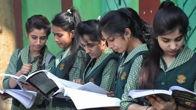 TN HSE Result 2024: Tamil Nadu 12th results declared, direct link to check here (PTI/File)