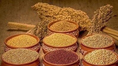 The year 2023 has indeed been special for millets as The United Nations General Assembly at its 75th session in March 2021 declared it the International Year of Millets (IYM 2023). (Pinterest)