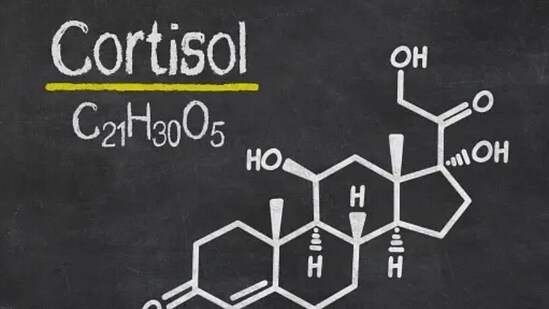 Cortisol, also known as the stress hormone, in little amounts can keep us alert and focused, but more than that can make us feel stressed and negative.&nbsp;(Unsplash)
