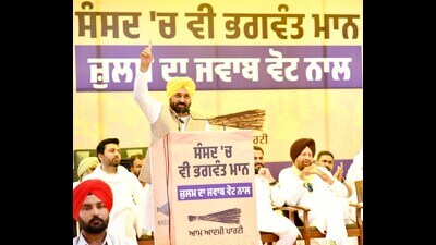 Chief minister Bhagwant Mann addressing a rally in Fazilka on Tuesday. (HT) Chief minister Bhagwant Mann addressing a rally in Fazilka on Tuesday. (HT)