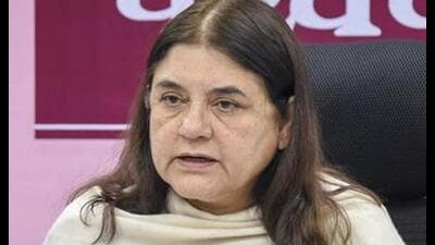 Maneka Gandhi is seeking a re-election from Sultanpur Lok Sabha seat. (File Photo) Maneka Gandhi is seeking a re-election from Sultanpur Lok Sabha seat. (File Photo)