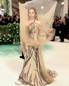 Lana Del Ray's custom-made tulle dress by Alexander McQueen had branches across it, a look that even extended into the headpiece (Instagram) Lana Del Ray's custom-made tulle dress by Alexander McQueen had branches across it, a look that even extended into the headpiece (Instagram)