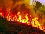 Forest fires are not unusual in Uttarakhand, or, for that matter, in any jungle. (PTI)