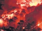 Fire broke out at 62 hectares of forest area in Uttarakhand. (ANI)