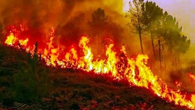 Forest fires are not unusual in Uttarakhand, or, for that matter, in any jungle. (PTI)
