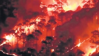 Fire broke out at 62 hectares of forest area in Uttarakhand. (ANI) Fire broke out at 62 hectares of forest area in Uttarakhand. (ANI)