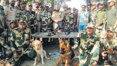 Sultan (labrador, left) is part of the BSF in Punjab and alerts the force about drones that usually carry cash or contraband. (HT PHOTO) Sultan (labrador, left) is part of the BSF in Punjab and alerts the force about drones that usually carry cash or contraband. (HT PHOTO)
