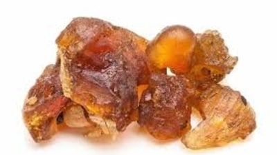 Guggulu: Guggulu stimulates the thyroid, helping to balance hormones and regulate iodine levels in the body. (Pinterest) Guggulu: Guggulu stimulates the thyroid, helping to balance hormones and regulate iodine levels in the body. (Pinterest)