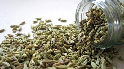Fennel (Saunf): Fennel is a versatile Ayurvedic herb that can help regulate body temperature, improve digestion, and reduce water retention, all of which are crucial during heatwaves. (Pixabay) Fennel (Saunf): Fennel is a versatile Ayurvedic herb that can help regulate body temperature, improve digestion, and reduce water retention, all of which are crucial during heatwaves. (Pixabay)