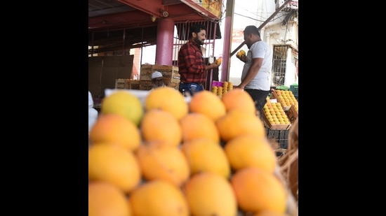 Last week, 8,000 to 10,000 boxes of mangoes were arriving at Pune Market Yard from the Konkan belt but now, only 4,000 boxes of mangoes are arriving daily. (MAHENDRA KOLHE/ HT PHOTO)