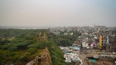 In last five years, the encroachment was 183.88 ha as compared to 117.97 ha in the previous five-year period, CEC noted, raising further concern that the “speed of removal of encroachments is also quite slow with only 91 ha of encroachment removed in 5 years”. (HT Photo) In last five years, the encroachment was 183.88 ha as compared to 117.97 ha in the previous five-year period, CEC noted, raising further concern that the “speed of removal of encroachments is also quite slow with only 91 ha of encroachment removed in 5 years”. (HT Photo)