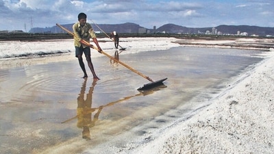 Mumbai, India, June11, 2015 : A Salt Worker daily chores (hard Working) at Salt pan land at mithagar Mulund (East) India, June 11, 2015 (Photo By Praful Gangurde) (Praful Gangurde) Mumbai, India, June11, 2015 : A Salt Worker daily chores (hard Working) at Salt pan land at mithagar Mulund (East) India, June 11, 2015 (Photo By Praful Gangurde) (Praful Gangurde)