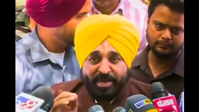 Punjab chief minister and AAP leader Bhagwant Mann. (PTI)