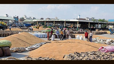 The procurement season in Punjab started late this year due to late harvesting. (HT File) The procurement season in Punjab started late this year due to late harvesting. (HT File)