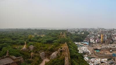 With rapid urbanisation, the judgment noted that some parts of the Ridge have been erased in the central Delhi area. (HT File) With rapid urbanisation, the judgment noted that some parts of the Ridge have been erased in the central Delhi area. (HT File)