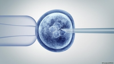 A new CRISPR gene editing called EDIT-101 has successfully restored vision in some patients with congenital blindness (focalpoint/IMAGO ) A new CRISPR gene editing called EDIT-101 has successfully restored vision in some patients with congenital blindness (focalpoint/IMAGO )
