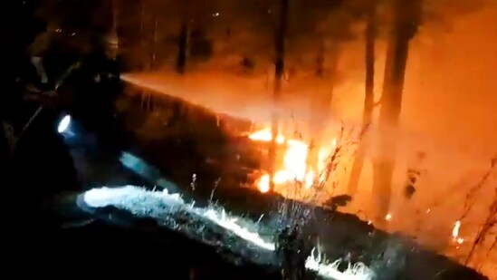 Five people have lost their lives in the Uttarakhand forest fires, informed the state's Chief Conservator of Forest with an additional charge of Head of Forest Force (HoFF) Dhananjay Mohan. (PTI)