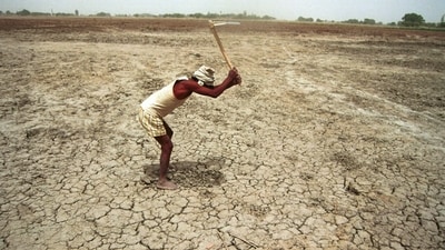 Drought relief: Karnataka govt to pay ₹3,000 each to small and marginal farming families Drought relief: Karnataka govt to pay ₹3,000 each to small and marginal farming families