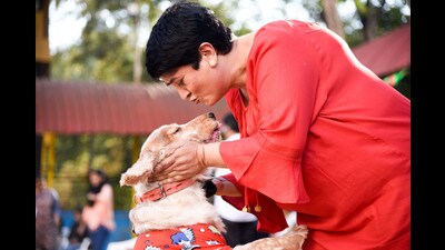 PMC will also continue to pursue its dream dog park project at Katraj zoo premises with CZA. (REPRESENTATIVE PHOTO) PMC will also continue to pursue its dream dog park project at Katraj zoo premises with CZA. (REPRESENTATIVE PHOTO)