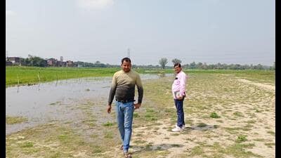 The dried-up stream in the village, with some portion of it having water. (HT Photo) The dried-up stream in the village, with some portion of it having water. (HT Photo)