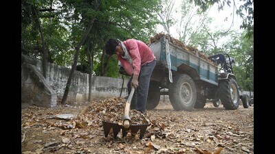 Workers from the Municipal Corporation of Gurugram (MCG) clearing a city locality as part of a cleanliness drive in Civil Lines area near Nehru Stadium in Gurugram. (Parveen Kumar/HT PHOTO) Workers from the Municipal Corporation of Gurugram (MCG) clearing a city locality as part of a cleanliness drive in Civil Lines area near Nehru Stadium in Gurugram. (Parveen Kumar/HT PHOTO)