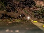 A road gets blocked as trees fall after a massive dust storm, in New Delhi on Friday. (ANI Photo) A road gets blocked as trees fall after a massive dust storm, in New Delhi on Friday. (ANI Photo)