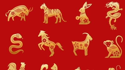 Read your wellness ritual for your Chinese zodiac sign. (Freepik) Read your wellness ritual for your Chinese zodiac sign. (Freepik)