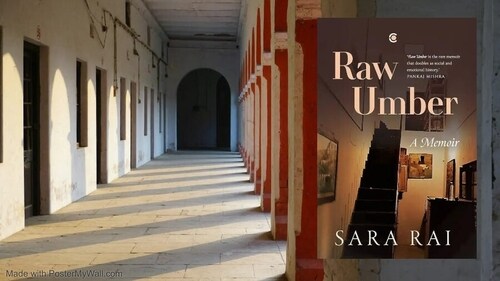 Raw Umber Raw Umber