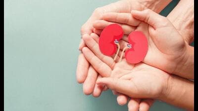 In another case, the family of an 18-year-old Haryana girl, after her tragic death, saved the lives of four critically ill patients by donating her organs. (iStock) In another case, the family of an 18-year-old Haryana girl, after her tragic death, saved the lives of four critically ill patients by donating her organs. (iStock)