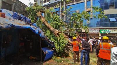 Thane, India - May ,12, 2024:ÊA tree has collapsed on a small flower shop of Khartan road, Thane East. Four persons injured ,in Thane, in Mumbai, India, on, Sunday, May,12, 2024. ( Praful Gangurde / HT Photo ) Thane, India - May ,12, 2024:ÊA tree has collapsed on a small flower shop of Khartan road, Thane East. Four persons injured ,in Thane, in Mumbai, India, on, Sunday, May,12, 2024. ( Praful Gangurde / HT Photo )