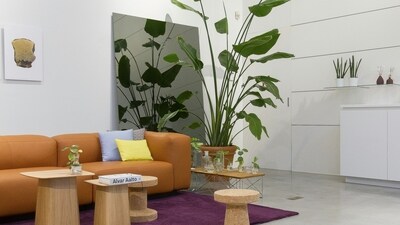 Summer home makeover: Nature-inspired interior design trends (Unsplash) Summer home makeover: Nature-inspired interior design trends (Unsplash)