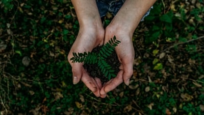 Plant a Memorial Garden: Planting a garden with mom's favourite flowers or plants can be a beautiful way to honour her memory and create a peaceful space for reflection and remembrance. (Unsplash) Plant a Memorial Garden: Planting a garden with mom's favourite flowers or plants can be a beautiful way to honour her memory and create a peaceful space for reflection and remembrance. (Unsplash)